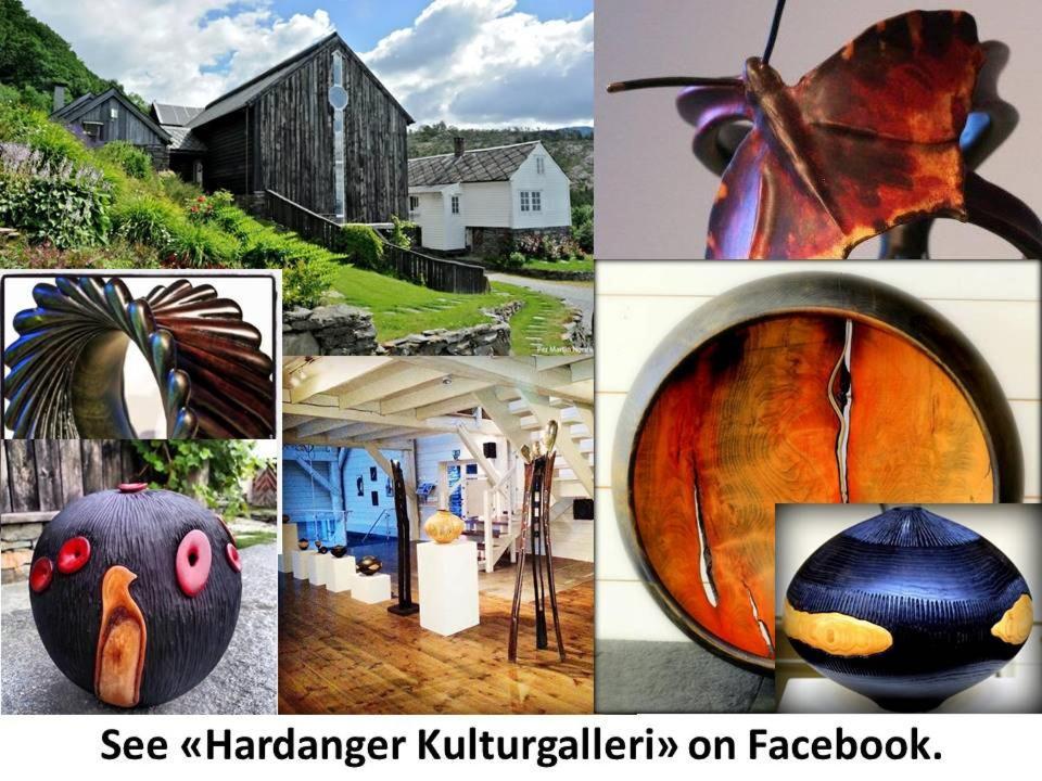 Apartment In Herand, Hardanger Exterior photo